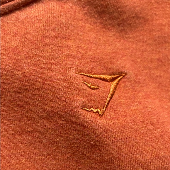 Gymshark Burnt Orange Hoodie - Picture 4 of 5